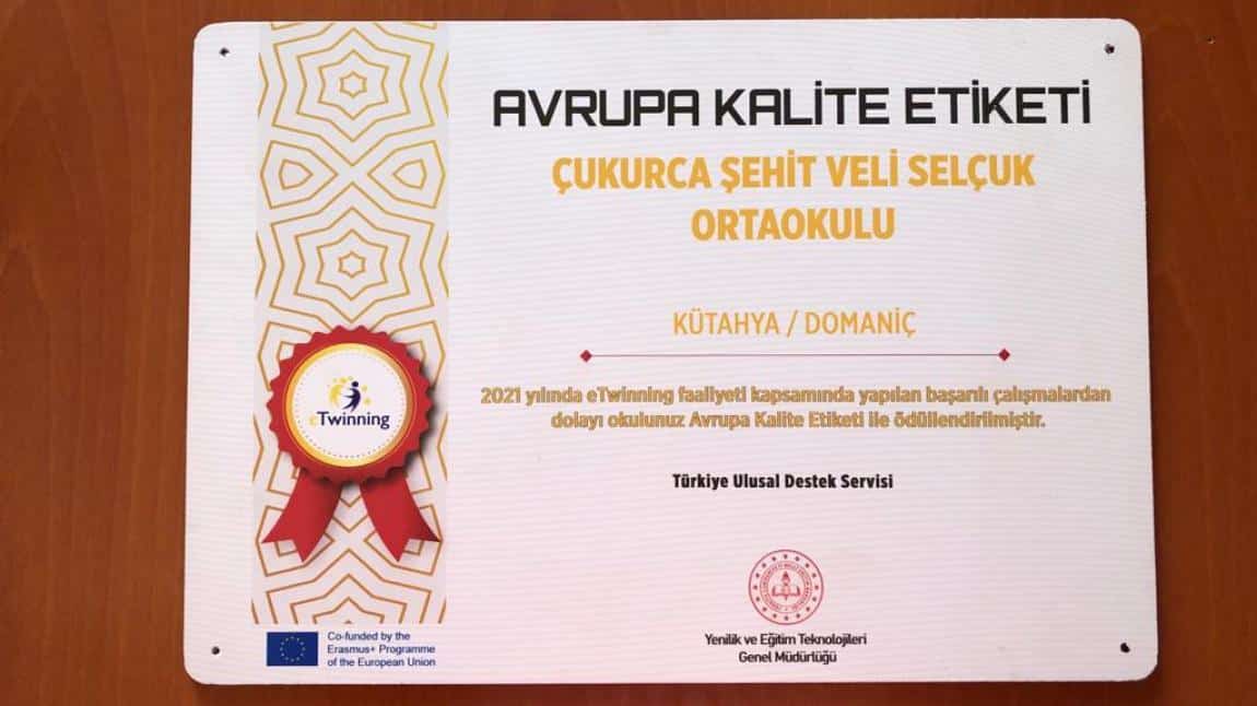 eTwinning Projeleri Ödül Töreninde Okulumuz ve İngilizce Öğretmenimiz Avrupa Kalite Etiketi Aldı